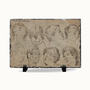 A rectangular framed art print featuring vintage anatomical sketches of human heads and necks on a parchment-style background, displayed on a black stand against a white studio background.