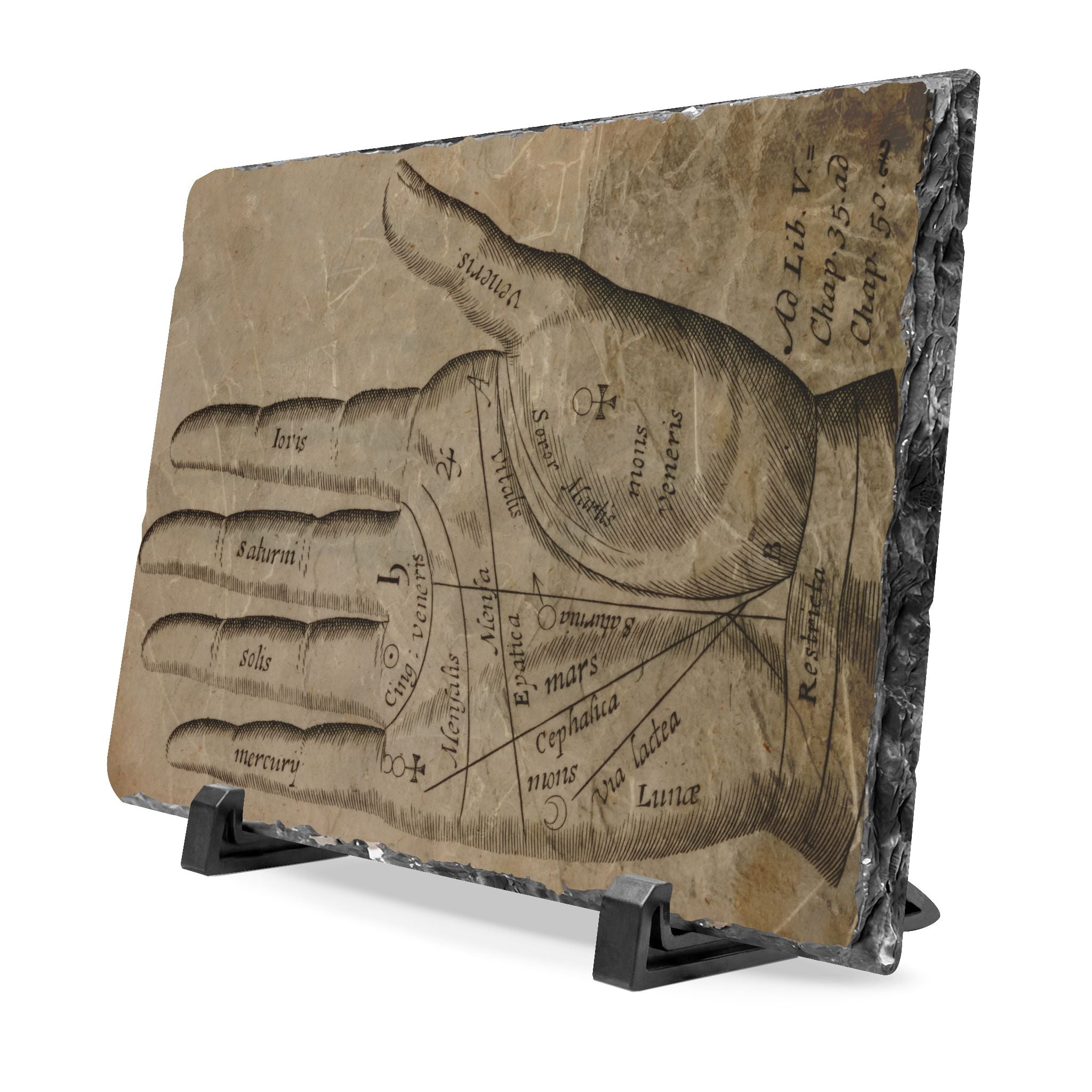 Palmistry Slate Desk Plaque — Vintage Hand Chart Home Décor