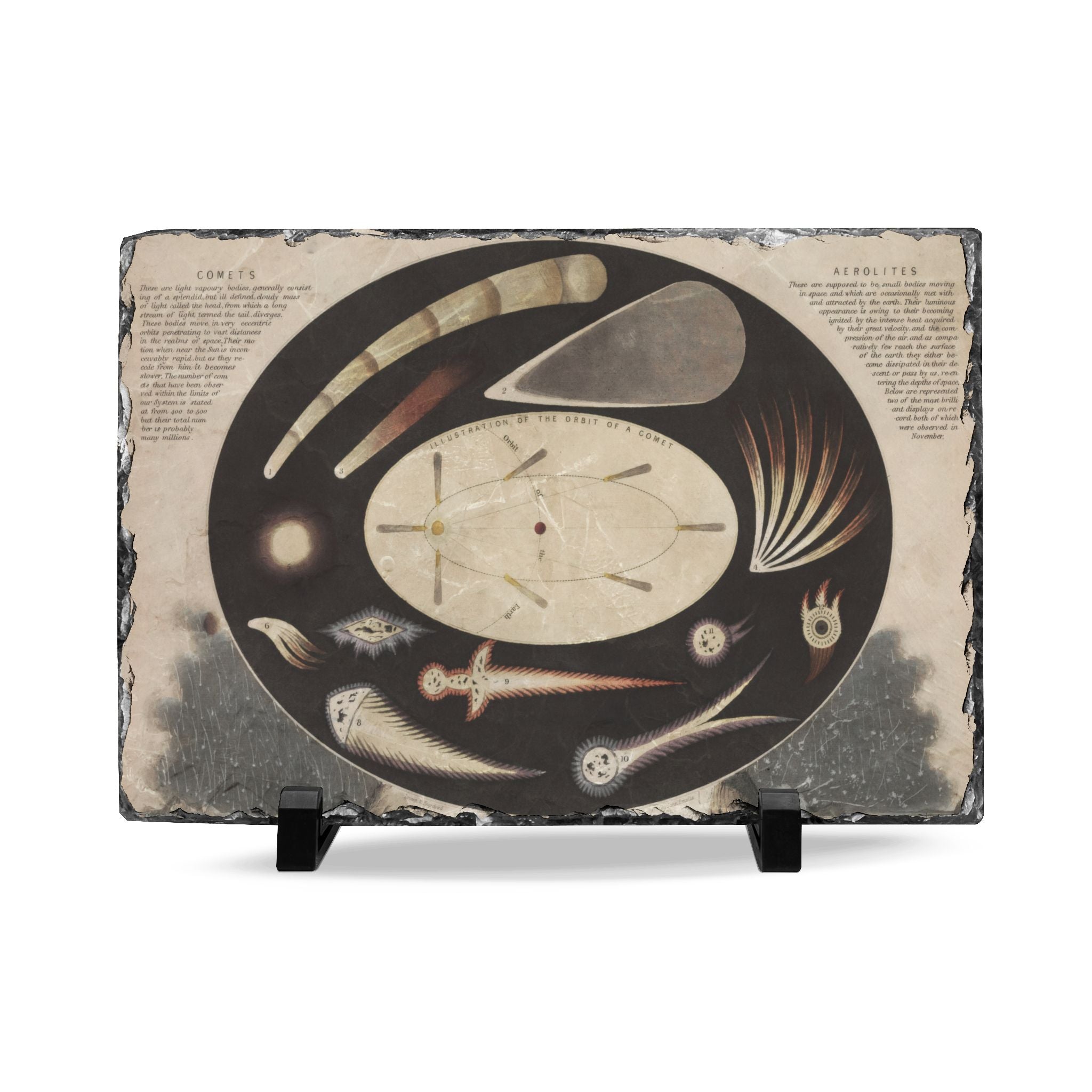 Celestial Whale Slate Desk Plaque — Nautical Myth Art Home Office Accent