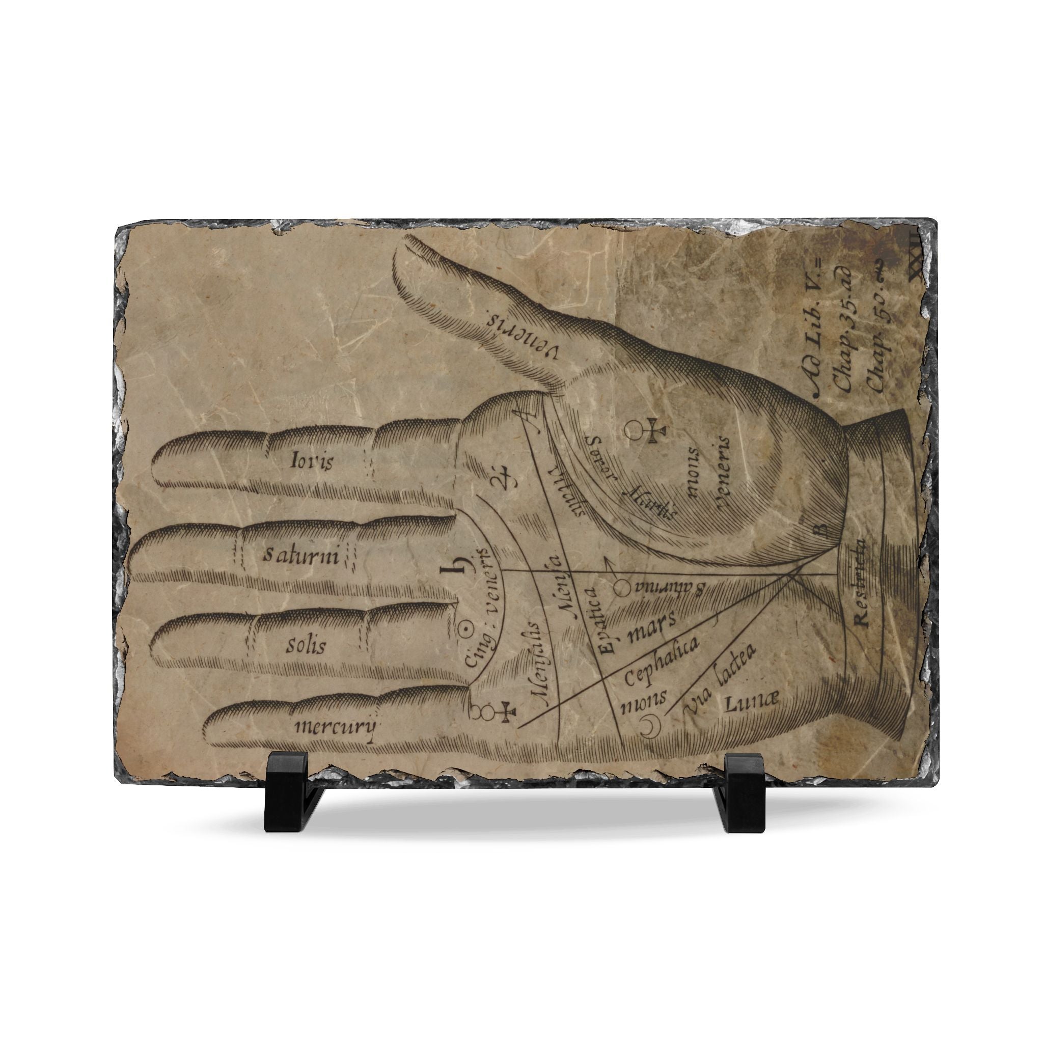 Palmistry Slate Desk Plaque — Vintage Hand Chart Home Décor