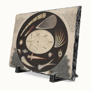 A square stone plaque featuring a vintage scientific illustration of the aerolites or meteors of 1837, displayed on a black stand against a light gray background.
