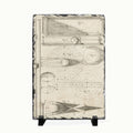 A rectangular stone plaque featuring a vintage scientific diagram print on a cream-colored background, with a dark textured border and small black display stands supporting it.
