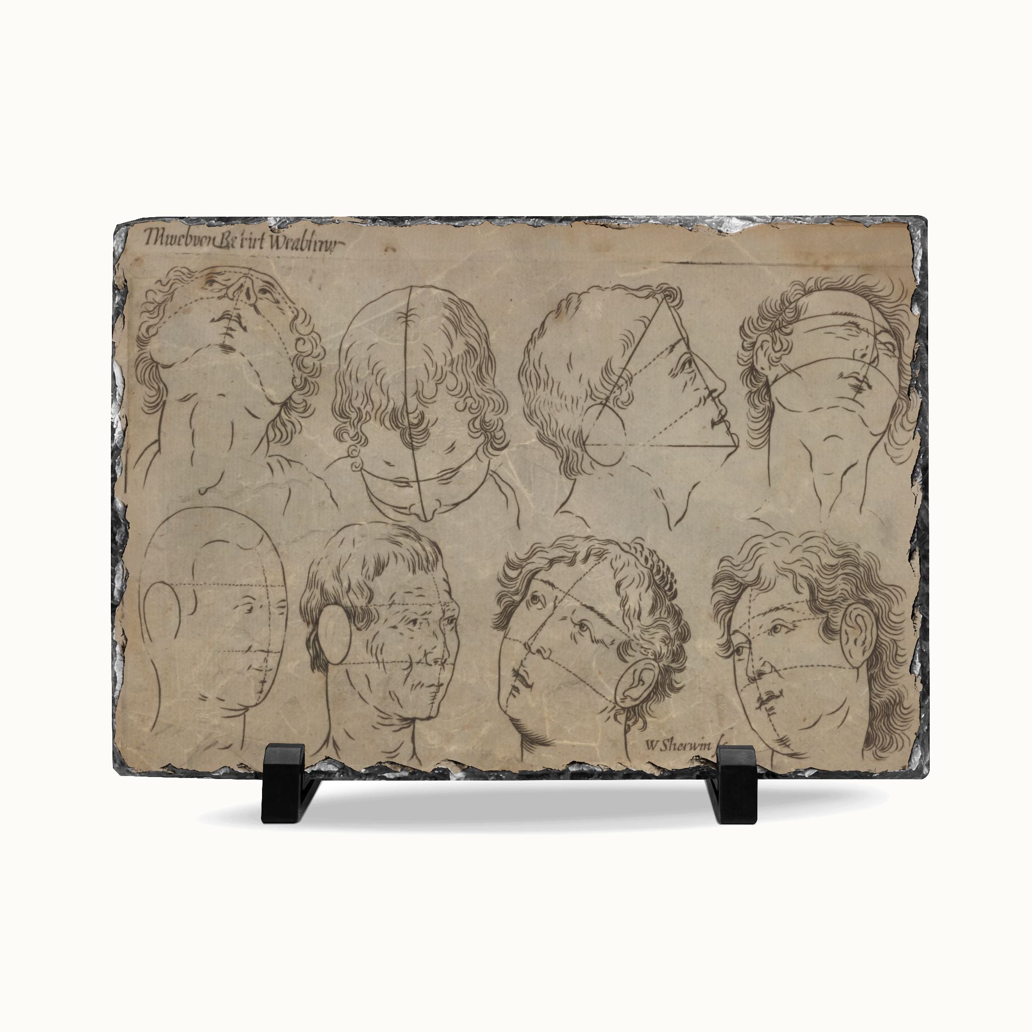 A rectangular framed art print featuring vintage anatomical sketches of human heads and necks on a parchment-style background, displayed on a black stand against a white studio background.