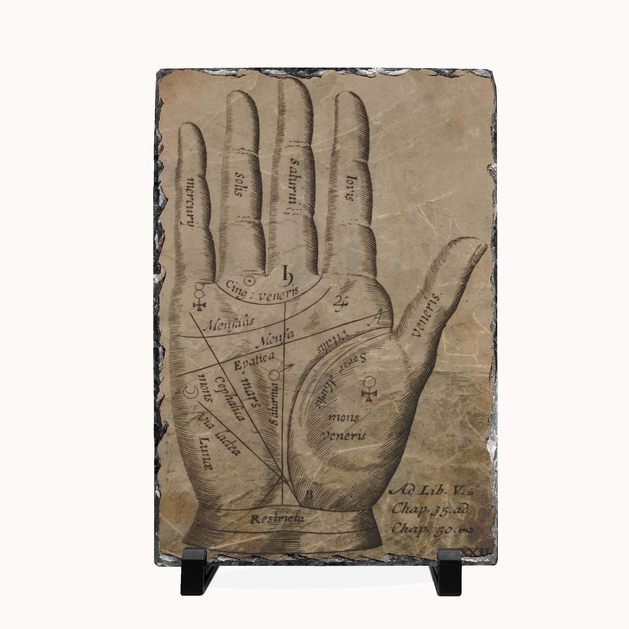 A rectangular slate wall art plaque featuring a vintage-style anatomical hand diagram with labeled palm and finger regions, displayed on a small black stand against a plain light background.
